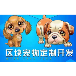 *系統(tǒng)軟件開(kāi)發(fā)